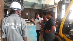 Visitors visiting factory