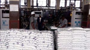 Piles of salt sacks in warehouse
