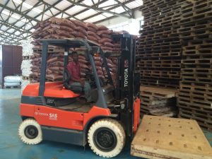 Electric fork lifts are greener and energy efficient.